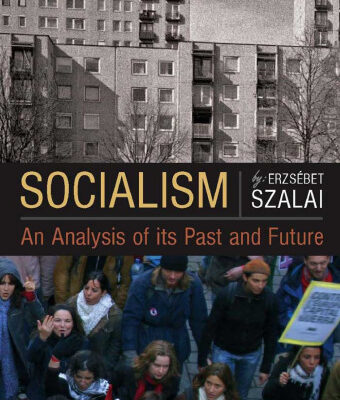 خرید و دانلود نسخه کامل کتاب Socialism: An Analysis of Its Past and Future