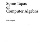 خرید و دانلود نسخه کامل کتاب Some Tapas of Computer Algebra