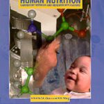 خرید و دانلود نسخه کامل کتاب Stable Isotopes in Human Nutrition: Laboratory Methods and Research Applications (Life Sciences)