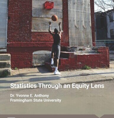 خرید و دانلود نسخه کامل کتاب Statistics Through an Equity Lens