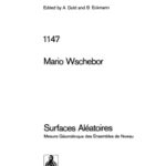 خرید و دانلود نسخه کامل کتاب Surfaces Aleatoires