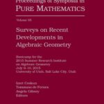 خرید و دانلود نسخه کامل کتاب Surveys on Recent Developments in Algebraic Geometry