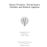 خرید و دانلود نسخه کامل کتاب Tensor Products, Trivial Source Modules and Related Algebras [PhD thesis]