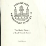 خرید و دانلود نسخه کامل کتاب The Basic Theory of Real Closed Spaces