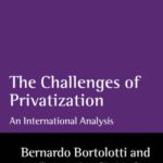 خرید و دانلود نسخه کامل کتاب The Challenges of Privatization: An International Analysis