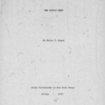 خرید و دانلود نسخه کامل کتاب The Gothic Word