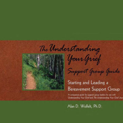 خرید و دانلود نسخه کامل کتاب The Understanding Your Grief Support Group Guide: Starting and Leading a Bereavement Support Group