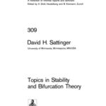 خرید و دانلود نسخه کامل کتاب Topics in Stability and Bifurcation Theory