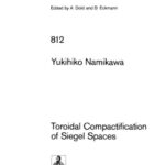 خرید و دانلود نسخه کامل کتاب Toroidal Compactification of Siegel Spaces