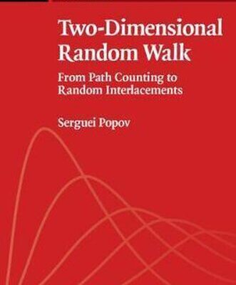 خرید و دانلود نسخه کامل کتاب Two-Dimensional Random Walk