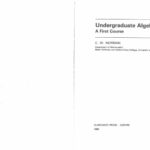 خرید و دانلود نسخه کامل کتاب Undergraduate Algebra: A First Course