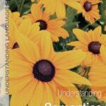 خرید و دانلود نسخه کامل کتاب Understanding Semantics