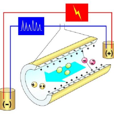 خرید و دانلود نسخه کامل کتاب Use of non-specific and specific interactions in the analysis of testosterone and related compounds by capillary electromigration techniques