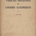 خرید و دانلود نسخه کامل کتاب Variétés abéliennes et courbes algébriques