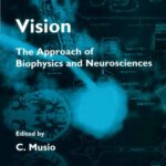 خرید و دانلود نسخه کامل کتاب Vision: The Approach of Biophysics and Neurosciences : Proceedings of the International School of Biophysics Casamicciola, Napoli, Italy, 11-16 October … on Biophysics and Biocybernetics) (v. 11)