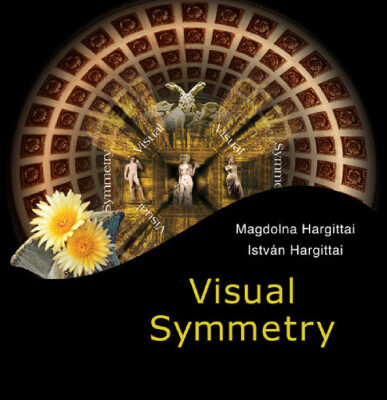 خرید و دانلود نسخه کامل کتاب Visual Symmetry
