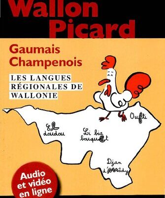خرید و دانلود نسخه کامل کتاب Wallon, picard, gaumais, champenois: Les langues régionales de Wallonie