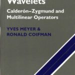 خرید و دانلود نسخه کامل کتاب Wavelets. Calderon-Zygmund and multilinear operators