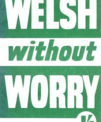 خرید و دانلود نسخه کامل کتاب Welsh Without Worry