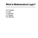 خرید و دانلود نسخه کامل کتاب What is mathematical logic?