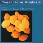 خرید و دانلود نسخه کامل کتاب Yeast Gene Analysis ~ Volume 26