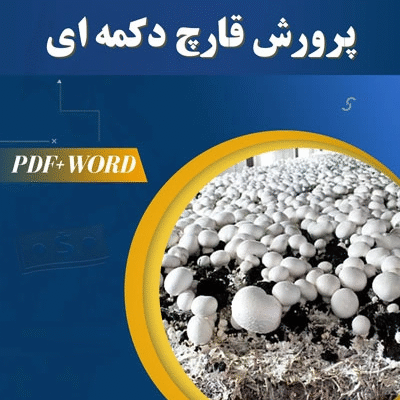 خرید و دانلود طرح توجیهی پرورش قارچ دکمه ای 1404 PDF+WORD