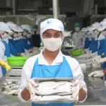خرید و دانلود طرح توجیهی بسته بندی ماهی