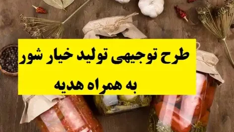 2681-472x267 خرید و دانلود طرح توجیهی تولید خیارشور و ترشیجات |نگارش 1404 نسخه کامل - تصویر 1