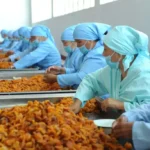خرید و دانلود طرح توجیهی بسته بندی آجیل و خشکبار