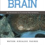 دانلود کتاب The Brain: An Introduction to Functional Neuroanatomy 1st Edition