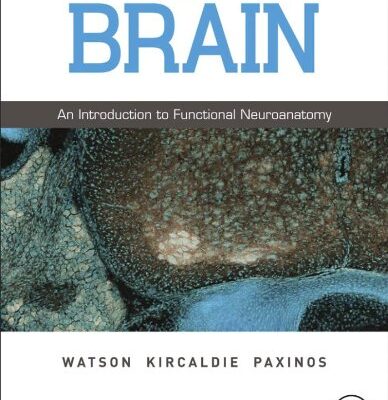 دانلود کتاب The Brain: An Introduction to Functional Neuroanatomy 1st Edition