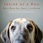 دانلود کتاب Inside of a Dog: What Dogs See, Smell, and Know