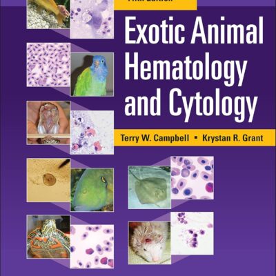خرید و دانلود نسخه کامل کتاب Exotic Animal Hematology and Cytology (5th Edition) - + Pdf