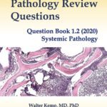 خرید و دانلود نسخه کامل کتاب Pathology Review Questions: Question Book 1.2 (2020) Systemic Pathology - Original PDF