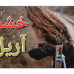 خرید و دانلود رمان خشم آریل جلد آخر (مجموعه پنج جلدی لامیا) نویسنده :مهین مقدسی فر ژانر عاشاقنه