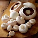 خرید و دانلود طرح توجیهی پرورش قارچ نگارش 1404 - تصویر 9