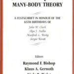 خرید و دانلود نسخه کامل کتاب 150 Years of Quantum Many-Body Theory
