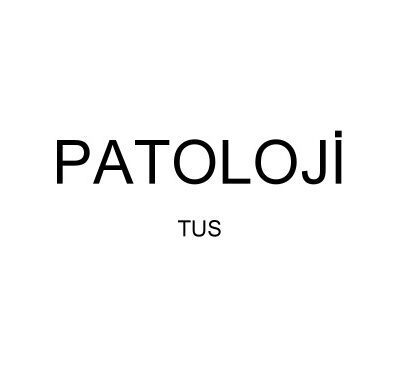 خرید و دانلود نسخه کامل کتاب 171 Slaytla Tüm Patoloji Özeti