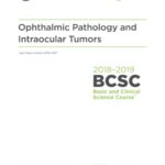 خرید و دانلود نسخه کامل کتاب 2018-2019 BCSC (Basic and Clinical Science Course), Section 04: Ophthalmic Pathology and Intraocular Tumors