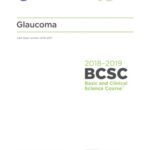 خرید و دانلود نسخه کامل کتاب 2018-2019 BCSC (Basic and Clinical Science Course), Section 10 Glaucoma