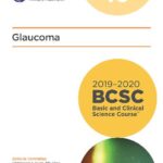 خرید و دانلود نسخه کامل کتاب 2019-2020 BCSC (Basic and Clinical Science Course), Section 10: Glaucoma