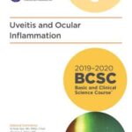 خرید و دانلود نسخه کامل کتاب 2019-2020 BCSC (Basic and Clinical Science Course), Section 09: Uveitis and Ocular Inflammation (MAJOR REVISION)