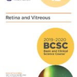 خرید و دانلود نسخه کامل کتاب 2019-2020 BCSC (Basic and Clinical Science Course), Section 12: Retina and Vitreous