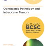 خرید و دانلود نسخه کامل کتاب 2019-2020 BCSC (Basic and Clinical Science Course), Section 04: Ophthalmic Pathology and Intraocular Tumors