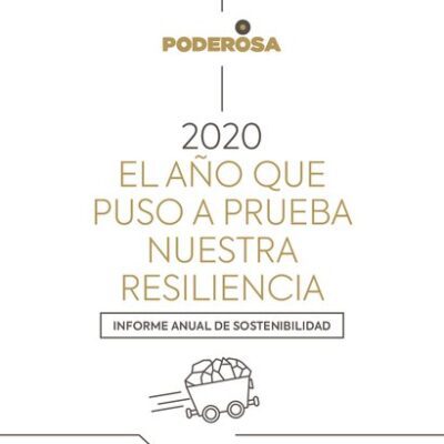 خرید و دانلود نسخه کامل کتاب 2020: El año que puso a prueba nuestra resoliencia. Informe anual de sostenibilidad