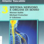 خرید و دانلود نسخه کامل کتاب 3. Sistema nervoso e organi di senso