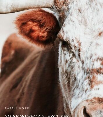 خرید و دانلود نسخه کامل کتاب 30 Non-Vegan Excuses and How to Respond to Them