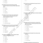 خرید و دانلود نسخه کامل کتاب 51-70.Denemeler Farmakoloji Testi Bölümleri