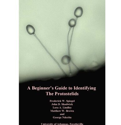 خرید و دانلود نسخه کامل کتاب A Beginner’s Guide to Identifying The Protostelids
