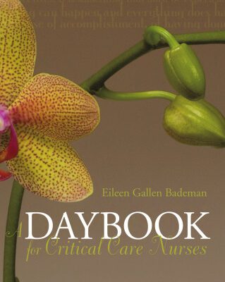 خرید و دانلود نسخه کامل کتاب A Daybook for Critical Care Nurses